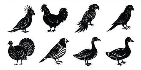Bird silhouette collection. Domestic bird set vector illustration