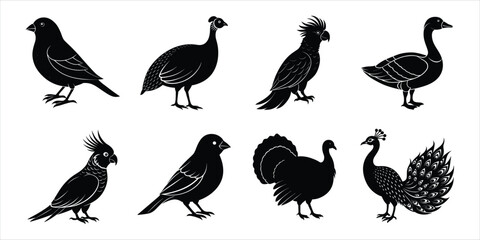 Obraz premium Bird silhouette collection. Domestic bird set vector illustration