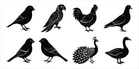 Bird silhouette collection. Domestic bird set vector illustration