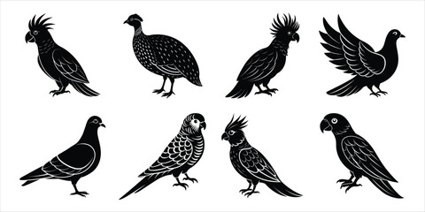 Bird silhouette collection. Domestic bird set vector illustration