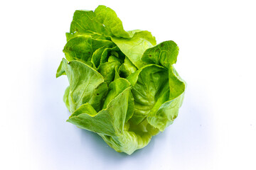 fresh green lettuce
