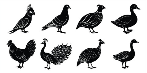 Naklejka premium Bird silhouette collection. Domestic bird set vector illustration