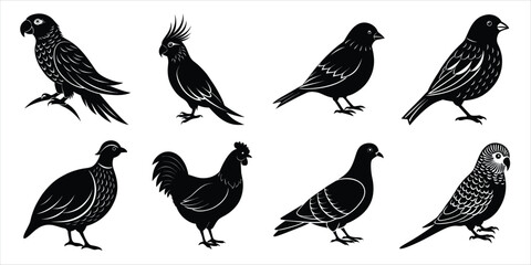 Obraz premium Bird silhouette collection. Domestic bird set vector illustration