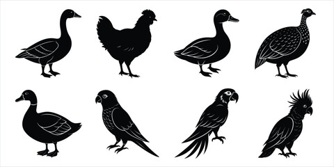 Bird silhouette collection. Domestic bird set vector illustration