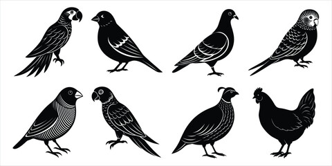 Bird silhouette collection. Domestic bird set vector illustration