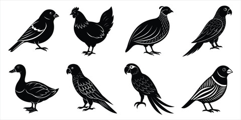 Bird silhouette collection. Domestic bird set vector illustration