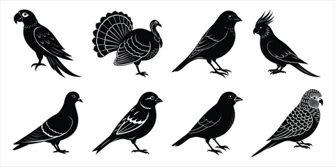 Bird silhouette collection. Domestic bird set vector illustration