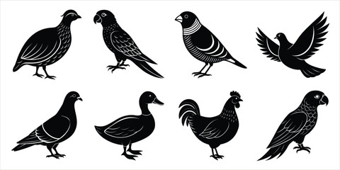 Obraz premium Bird silhouette collection. Domestic bird set vector illustration