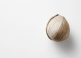 Image of a single coconut on a white background, high-resolution photography, stock photo, raw photograph. --ar 128:93 --v 6.1 Job ID: 5e9b6776-7b09-4a66-9b5c-c947f6b8f3ed