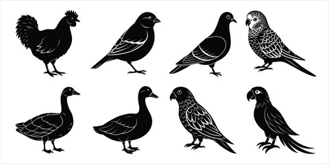 Bird silhouette collection. Domestic bird set vector illustration