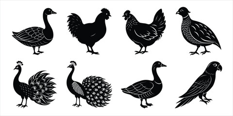 Bird silhouette collection. Domestic bird set vector illustration