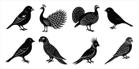 Obraz premium Bird silhouette collection. Domestic bird set vector illustration
