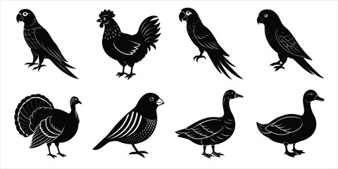 Bird silhouette collection. Domestic bird set vector illustration