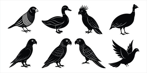 Bird silhouette collection. Domestic bird set vector illustration