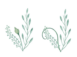 Watercolor Floral, watercolor green branches Illustration. Hand painted isolated on white background.
