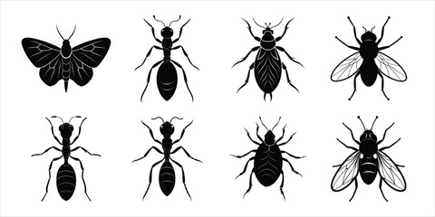 Insects silhouette collection vector illustration