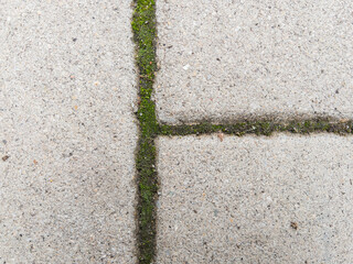 Fototapeta premium Old pavement stone texture as background
