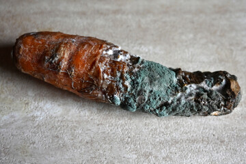 Alternaria black root rot of carrots. Putrefactive fungal growths that cover the surface of carrots after infection