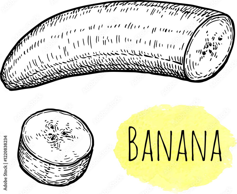 Wall mural peeled and sliced banana ink sketch