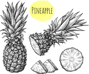 Pineapple ink sketch