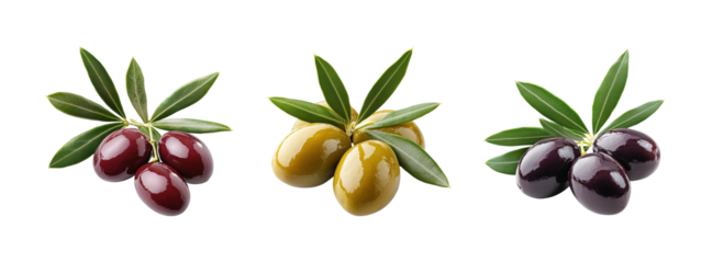 Freshly harvested olives with leaves on a black background