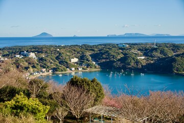 下田から見える海