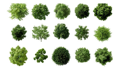 3D Vector Illustration of Green Trees, Top View Isolated PNGs with Transparent Background, Perfect for Garden Decoration, Architectural Design Visualization, Outdoor Landscape Ideas