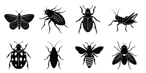 Set of insect icons silhouette illustration. Insects vector collection