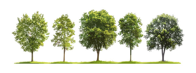 Obraz premium Isolated green tree illustration, vector collections, white background artwork, nature graphic designs, eco-friendly tree vectors, abstract plant elements, natural vector graphics.