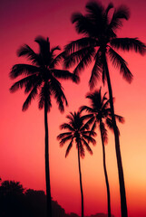Obraz premium Silhouettes of tall palm trees against sunset bright pink and purple sky in glamorous kitsch style. Tropical landscape. A modern concept for design.