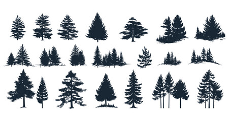 Vector pine tree silhouette illustrations, evergreen forest trees, firs and spruces black shapes, woodland nature design, tree templates on white background, nature vector.