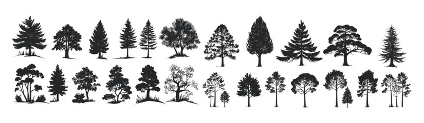 Fototapeta premium Black silhouettes of pine trees, evergreen forest vector, fir and spruce trees shapes, wild nature woodland illustration, forest templates, white background trees set.