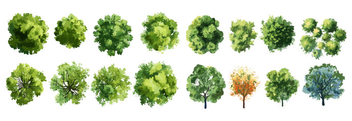 Abstract watercolor tree vector illustration top view, isolated on white background, landscape plan, garden elements, architecture layout, flower blooming, blossom grass