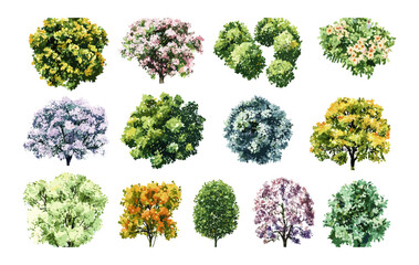 Side view vector illustration of a green forest tree, watercolor style, isolated on white background, elements for landscape design, garden, shrub section for architecture