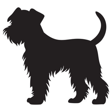 Schnoodle Silhouette
