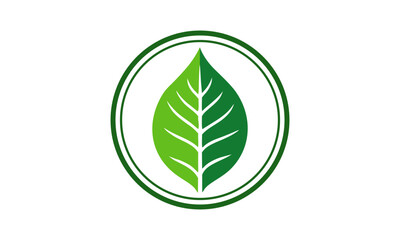 Obraz premium leaf logo, nature logo, farm, bio leaf, eco leaf, nature leaf, plant logo, agriculture