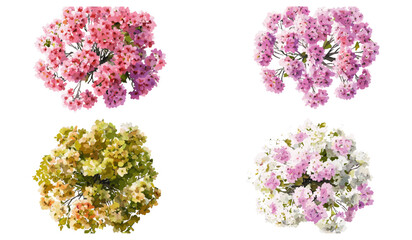 Vector watercolor blooming tree top view isolated on white background for garden, landscape planning, architecture drawing, botanical elements, spring flowers, environment