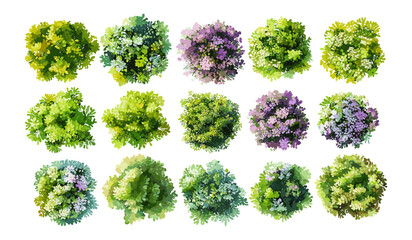 Blooming tree vector watercolor top view isolated for garden planning, landscape architecture, botanical elements, environment design, spring flowers, landscape sketching