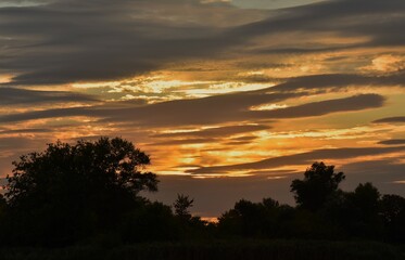 beautiful sunset over the forest, summer landscape, trees and clouds