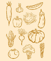 hand drawn vegetables icons set