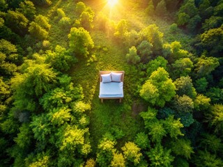 Aerial View of Peaceful Forest Bed: Serene Sleep in Nature
