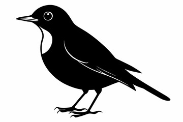 Obraz premium American Robin silhouette vector