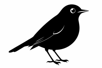 Obraz premium American Robin silhouette vector