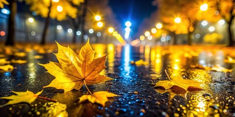 Autumn Leaves on Asphalt - Yellow Maple and Poplar Leaves on Grey Road Surface
