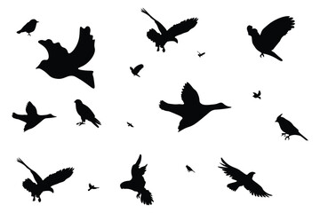 Bird flying silhouette