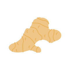 Pastel Color of Ginger illustration. Perfect for health, food, or organic-themed designs, suitable for packaging, branding, and educational visuals.