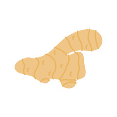 Pastel Color of Ginger illustration. Perfect for health, food, or organic-themed designs, suitable for packaging, branding, and educational visuals.
