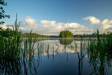 Rest on the forest lake.A good place for quiet fishing.Morning on the water.Pond with reeds and cloudy sky
