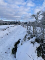 Ländliche Landschaft, im Winter mit Schnee mit Feldweg am Waldrand tief verschneit