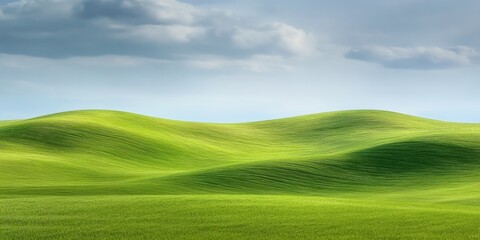 Obraz premium meadow winds soothing and calming visuals rela